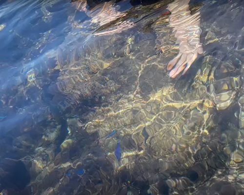 image5